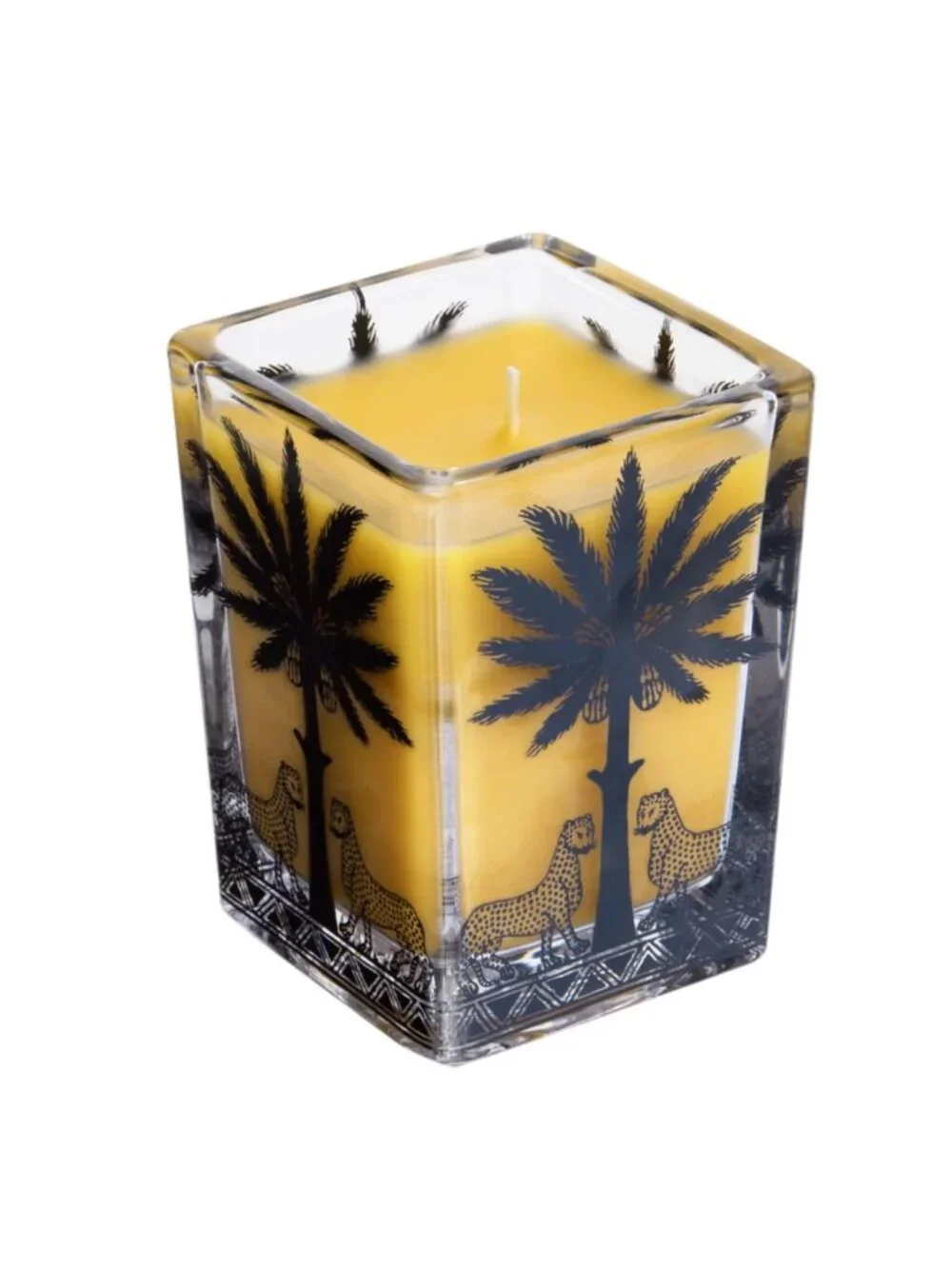 Ortigia signature palm